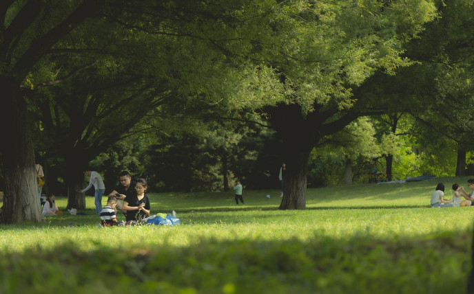 Das Bild zeigt eine vierköpfige Familie, die einen sonnigen Tag in einem Park geniesst. Die Eltern sitzen auf einer Decke und die Kinder spielen in der Nähe. Im Hintergrund befinden sich mehrere andere Personen, die den Park geniessen. Der Park ist üppig und grün, mit hohen Bäumen, die Schatten spenden.