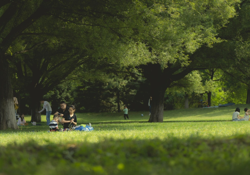 Das Bild zeigt eine vierköpfige Familie, die einen sonnigen Tag in einem Park geniesst. Die Eltern sitzen auf einer Decke und die Kinder spielen in der Nähe. Im Hintergrund befinden sich mehrere andere Personen, die den Park geniessen. Der Park ist üppig und grün, mit hohen Bäumen, die Schatten spenden.